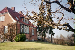 Her fornemmes det gamle preespalier, som en skulpturel dekoration, p husmuren